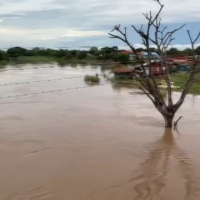 Über 135.000 Hektar Land, darunter 42.560 Hektar Reisfelder in Thailand, wurden überflutet