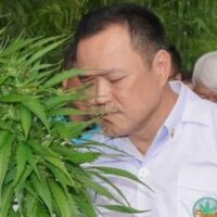 Das Verwaltungsgericht hat eine Klage angenommen, die von einem Mitglied des Ärzterates von Thailand und Abgeordneten einiger Parteien eingereicht wurde, die die Ankündigung des Gesundheitsministeriums widerrufen wollen, Marihuana von einer offiziellen Liste kontrollierter Substanzen zu streichen