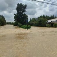 Das Ministerium für Katastrophenschutz und -minderung (DDPM) berichtet, dass vierzehn Provinzen im Süden Thailands unter Überschwemmungen leiden, während im nördlichen Teil Thailands die Temperatur weiter gesunken ist