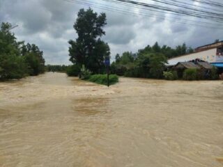 Das Ministerium für Katastrophenschutz und -minderung (DDPM) berichtet, dass vierzehn Provinzen im Süden Thailands unter Überschwemmungen leiden, während im nördlichen Teil Thailands die Temperatur weiter gesunken ist