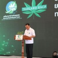 Die thailändischen Medien waren voll von Geschichten über den stellvertretenden Premierminister und Gesundheitsminister Anutin Charnvirakul, der bei einer Veranstaltung in Kanchanaburi das Lob von Gras sang. Die Legalisierung der Droge war ein wichtiges Hauptversprechen des Bhumjaithai-Führers bei den letzten Wahlen, stellt ASEAN NOW fest