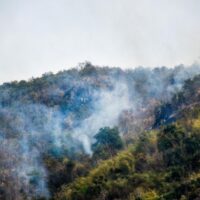 Weißer Rauch bedeckt das Waldgebiet des Phu Sanao Berges in Loei, nachdem Soldaten des Katastrophenhilfezentrums des 28. Militärkreises und des Kommandos für innere Sicherheit am Mittwoch ein Feuer gelöscht hatten. Waldbrände sind eine der Hauptursachen für die Luftverschmutzung während der Trockenzeit.