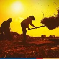 Thailändische Ärzte haben die Menschen gewarnt, auf Symptome eines Hitzschlags zu achten, wenn die Temperaturen in ganz Thailand steigen. „Da die Temperaturen in der heißen Jahreszeit in einigen Gebieten 40 Grad Celsius erreichen könnten, könnten die Menschen, die sich lange im Freien aufhalten, einen Hitzschlag erleiden“, sagte Dr. Manas Phothaporn, der stellvertretende Direktor der Abteilung für medizinische Dienste, gestern am Donnerstag.