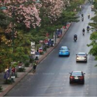 Die regierende Palang Pracharath Partei (PPRP) und die United Thai Nation Partei (UTN) haben einen Pakt abgelehnt, der das Protokoll für Politiker während des Wahlkampfs festlegt und Versprechen enthält, die sie nach den Parlamentswahlen einlösen sollen. Vertreter von 30 Parteien unterzeichneten gestern den Pakt im Centra by Centara Hotel Government Complex Hotel and Convention Centre in der Chaeng Watthana Road in Bangkok.