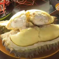 Thailands Durians, insbesondere die Sorte Mon Thong, erleben in dieser Erntesaison 2023 eine steigende Nachfrage aus dem In- und Ausland. Suradet Sapprasarn, ein Großhändler in der Provinz Chanthaburi, der als größter Durian Produzent gilt, sagte, dass jeder Großhändler täglich 2 - 5 Frachtcontainer der Früchte auf die Märkte in China exportiert, und fügte hinzu, dass er selbst durchschnittlich zwei Container exportiert.