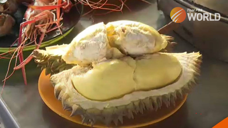 Thailands Durians, insbesondere die Sorte Mon Thong, erleben in dieser Erntesaison 2023 eine steigende Nachfrage aus dem In- und Ausland. Suradet Sapprasarn, ein Großhändler in der Provinz Chanthaburi, der als größter Durian Produzent gilt, sagte, dass jeder Großhändler täglich 2 - 5 Frachtcontainer der Früchte auf die Märkte in China exportiert, und fügte hinzu, dass er selbst durchschnittlich zwei Container exportiert.