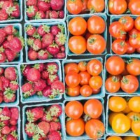 Die thailändische Regierung warnte Touristen , dass es sinnlos sei, Früchte nach Thailand zu bringen , es sei denn, sie wollten ins Gefängnis. Das Landwirtschaftsministerium erklärte ausdrücklich, dass der Transport von frischem Obst nach Thailand ohne Pflanzengesundheitszeugnis zu einer Geldstrafe von 20.000 Baht oder einer Gefängnisstrafe von einem Jahr führen kann.