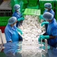 Die Exportmächte Nordasiens stotterten im April inmitten des schleppenden Welthandels und einer lückenhaften wirtschaftlichen Erholung in China weiter, so neue Daten, die die Besorgnis über das Risiko einer globalen Rezession verstärkten.