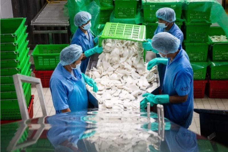 Die Exportmächte Nordasiens stotterten im April inmitten des schleppenden Welthandels und einer lückenhaften wirtschaftlichen Erholung in China weiter, so neue Daten, die die Besorgnis über das Risiko einer globalen Rezession verstärkten. Die Exportmächte Nordasiens stotterten im April inmitten des schleppenden Welthandels und einer lückenhaften wirtschaftlichen Erholung in China weiter, so neue Daten, die die Besorgnis über das Risiko einer globalen Rezession verstärkten.