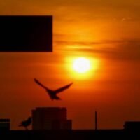 Wie andere Frühaufsteher geht auch Dao Dul, 35, bei Tagesanbruch in den Dienst. Für sie ist Zeit buchstäblich Geld. Ihr Büro ist kein gut gebauter wetterfester Wolkenkratzer. Es ist ein provisorischer Karren, der Hunderten von Einwohnern der Gemeinde von morgens bis abends angesehene Gerichte bietet.