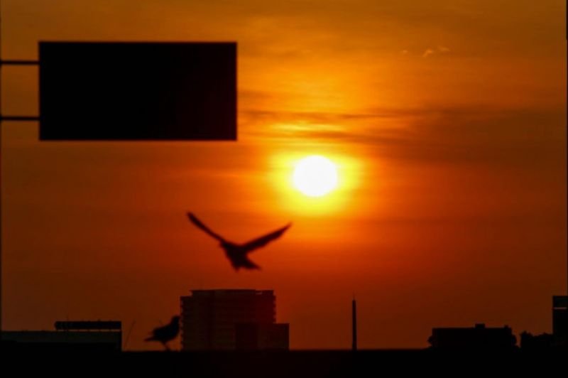Wie andere Frühaufsteher geht auch Dao Dul, 35, bei Tagesanbruch in den Dienst. Für sie ist Zeit buchstäblich Geld. Ihr Büro ist kein gut gebauter wetterfester Wolkenkratzer. Es ist ein provisorischer Karren, der Hunderten von Einwohnern der Gemeinde von morgens bis abends angesehene Gerichte bietet. Wie andere Frühaufsteher geht auch Dao Dul, 35, bei Tagesanbruch in den Dienst. Für sie ist Zeit buchstäblich Geld. Ihr Büro ist kein gut gebauter wetterfester Wolkenkratzer. Es ist ein provisorischer Karren, der Hunderten von Einwohnern der Gemeinde von morgens bis abends angesehene Gerichte bietet.