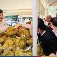 Das neueste Kapitel der Erfolgsgeschichte von thailändischen Früchten in China spielt sich in der Mega Hafenstadt Guangzhou ab – und es ist ein Blockbuster. Die Bestellungen für die laufenden Thai Fruits Golden Months und das Thai Durian Festival belaufen sich nun auf insgesamt 20 Millionen Baht, ein Anstieg von 260 % gegenüber dem gleichen Zeitraum im Jahr 2022, teilte das Department of International Trade Promotion (DITP) mit, das die Veranstaltungen organisiert