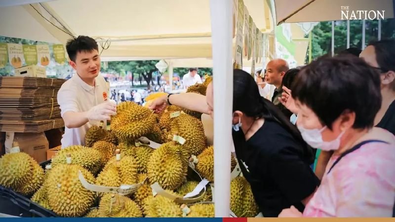 Das neueste Kapitel der Erfolgsgeschichte von thailändischen Früchten in China spielt sich in der Mega Hafenstadt Guangzhou ab – und es ist ein Blockbuster.<br /> Das neueste Kapitel der Erfolgsgeschichte von thailändischen Früchten in China spielt sich in der Mega Hafenstadt Guangzhou ab – und es ist ein Blockbuster.Die Bestellungen für die laufenden Thai Fruits Golden Months und das Thai Durian Festival belaufen sich nun auf insgesamt 20 Millionen Baht, ein Anstieg von 260 % gegenüber dem gleichen Zeitraum im Jahr 2022, teilte das Department of International Trade Promotion (DITP) mit, das die Veranstaltungen organisiert