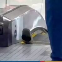 Ein TikTok Videoclip, der die Sandale eines Käufers zeigt, die in einer Rolltreppe im Einkaufszentrum Central Westgate in Nonthaburi stecken bleibt, hat sich viral verbreitet und Menschen über die Sicherheit von Rolltreppen und Gehwegen wundern lassen. Dies ist der zweite Vorfall dieser Art, nachdem am 29. Juni eine Frau ihr Bein durch einen Gehweg am Flughafen Don Mueang verloren hatte.