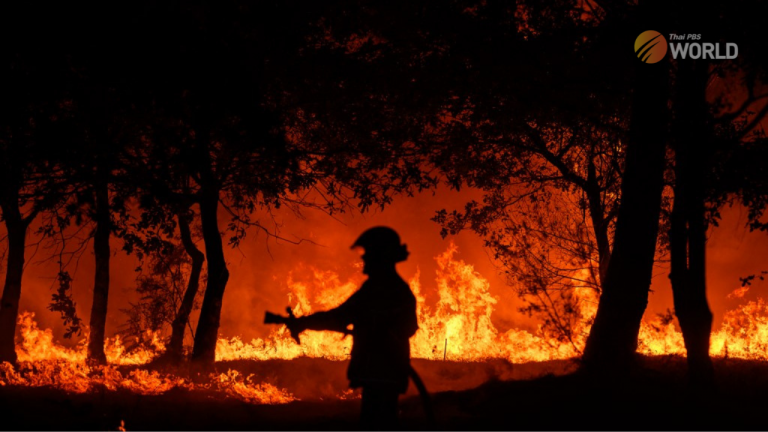 Millionen Menschen litten gestern am Mittwoch unter der starken Hitze, als Brände wüteten, die Gesundheitssorgen zunahmen und die Welt offenbar auf den heißesten Monat Juli aller Zeiten zusteuerte.