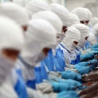 Das thailändische Handelsministerium erwartet für das letzte Quartal des Jahres einen Anstieg der Exporte des Landes, was möglicherweise den prognostizierten Rückgang für 2023 abmildern könnte.