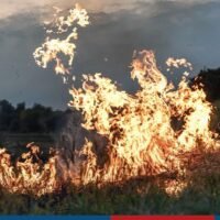 Um die Luftverschmutzung zu bekämpfen, erklärten die Ministerien für natürliche Ressourcen und Umwelt sowie für Landwirtschaft und Genossenschaften gemeinsam der Verbrennung von Nutzpflanzen den Kampf und versprachen, gegen eine der Hauptquellen von PM 2,5 Feinstaub vorzugehen.