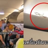 Ein Video Clip, der eine Schlange zeigt, die in einem Flugzeug auf dem Flug von Bangkok nach Phuket schlängelt, ging viral und wurde bisher über eine Million Mal angesehen. Es wurden Fragen gestellt, wie das Lebewesen überhaupt dorthin gelangt ist, berichtete die Zeitung Matichon am Dienstag den 16. Januar.