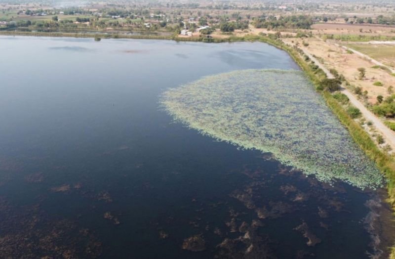 Eine durch eine durch El Niño verursachte Dürre verursachte Wasserknappheit im Östlichen Wirtschaftskorridor (EEC) könnte vermieden werden, da Wasservorräte für Fabriken vorbereitet wurden, um ihnen zu helfen, die Trockenzeit in diesem Jahr zu überstehen, sagt die Industrial Estate Authority of Thailand (IEAT).