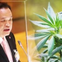 Innenminister Anutin Charnvirakul wirft seiner Bhumjaithai Partei vor, im Parlament bezüglich eines Gesetzentwurfs zur Entkriminalisierung von Cannabis getäuscht worden zu sein. Trotz der Verabschiedung der ersten Lesung stieß der Gesetzentwurf auf Hindernisse und hinterließ bei der Partei das Gefühl, in die Irre geführt zu werden.