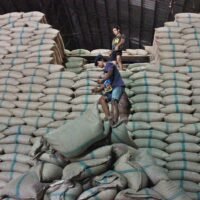 Kritiker haben den Plan der Regierung, den jahrzehntealten Reis zu verkaufen, kritisiert und ihr vorgeworfen, sie versuche, das verlustreiche Reisverpfändungsprogramm der Regierung der ehemaligen Premierministerin Yingluck Shinawatra zu beschönigen. Der Plan, den jahrzehntealten Reis zu exportieren, werde den weltweiten Ruf von Thailands Premiumreis auf dem Weltmarkt ruinieren, sagten sie.