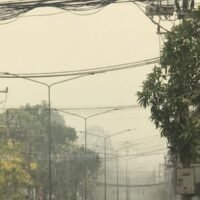 Chiang Mai ist dieses Jahr tagelang von giftigem Smog bedeckt, der größtenteils durch die Tierhaltung verursacht wird. Während giftiger Smog das Land erstickt, ohne dass es Anzeichen einer Räumung gibt, strebt die Regierung danach, der weltgrößte Exporteur von Tierfutter zu werden. Das ist ein Schlag ins Gesicht der Bevölkerung,