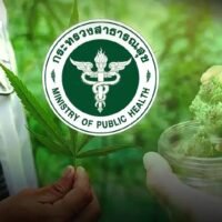 Gesundheitsministerium, Cannabis wieder auf die Liste der Betäubungsmittel der Kategorie 5 zu setzen, es jedoch als „weiche Droge“ einzustufen, deren Produktion, Import, Export und Verwendung vom Ministerium reguliert werden