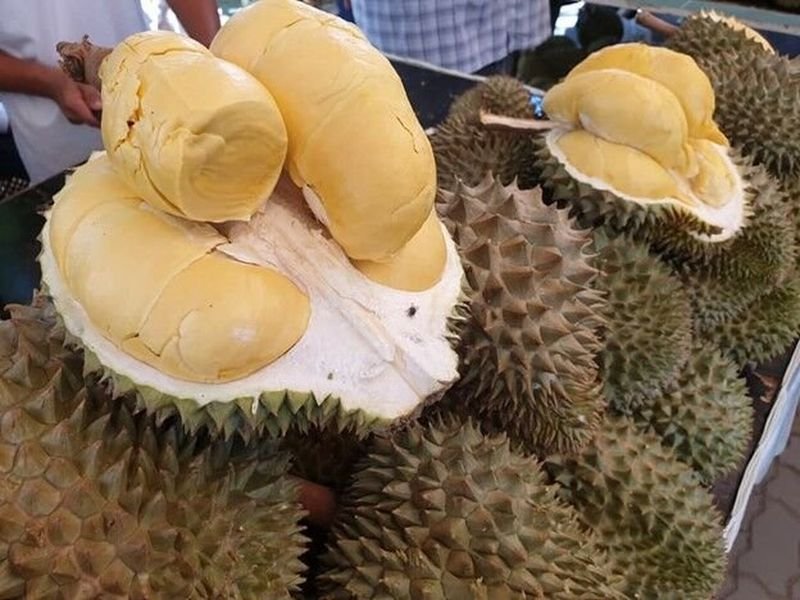 Durian , die berüchtigte „Königin der Früchte“, ist ein kulinarisches Abenteuer, das für Thailand steht. Unter ihrem stacheligen Äußeren verbirgt sich ein cremiges, puddingartiges Fruchtfleisch mit einem Geschmack, der von süßem Karamell bis hin zu scharfen Zwiebeln reichen kann. Durian hat eine treue Anhängerschaft in ganz Thailand, wo es von Eiscreme bis hin zu herzhaften Currys genossen wird.
