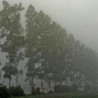 Das thailändische Wetteramt (TMD) hat vor schweren Sommerstürmen gewarnt, die durch Gewitter, starke Winde und möglichen Hagel gekennzeichnet sind und voraussichtlich ab heute, dem 7. Mai, mehrere Provinzen heimsuchen werden.