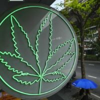 Thailands Premierminister Srettha Thavisin hat eine dramatische Änderung der Cannabispolitik des Landes gefordert und angeordnet, dass die Pflanze erneut als Betäubungsmittel eingestuft und ihre Verwendung auf medizinische und gesundheitliche Zwecke beschränkt werden soll.