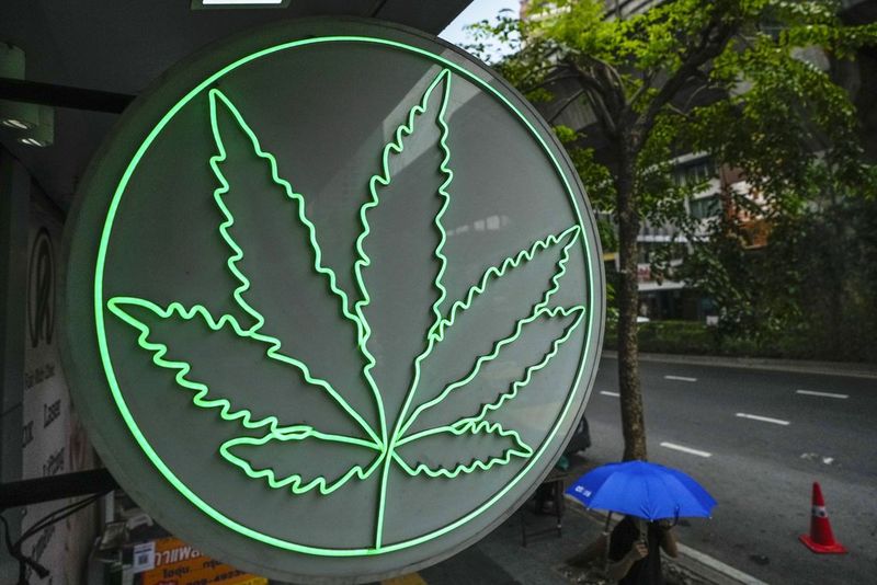 Thailands Premierminister Srettha Thavisin hat eine dramatische Änderung der Cannabispolitik des Landes gefordert und angeordnet, dass die Pflanze erneut als Betäubungsmittel eingestuft und ihre Verwendung auf medizinische und gesundheitliche Zwecke beschränkt werden soll.