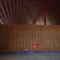 Zehn Jahre alter Reis, der seit der Yingluck-Shinawatra-Regierung in Lagerhäusern in Surin gelagert wird, sei immer noch von guter Qualität, so Handelsminister Phumtham Wechayachai, der sagte, sein Ministerium werde nächste Woche eine Ausschreibung für den Reis durchführen.