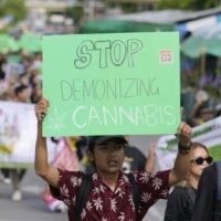Am 13. Juni 2024 gab der thailändische Gesundheitsminister Somsak Thepsuthin ein Update zur öffentlichen Konsultation zum Entwurf zur Neuklassifizierung von Cannabis als illegales Betäubungsmittel des Typs 5. Minister Somsak berichtete, dass die Mehrheit der öffentlichen Meinung dagegen sei, Cannabis wieder illegal zu machen. Viele Menschen würden es vorziehen, Cannabis wie Alkohol oder Zigaretten zu regulieren und zu besteuern.