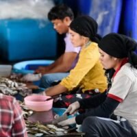 Thailands Nationales Komitee für die Verwaltung von Wanderarbeitern hat drei strategische Richtlinien verabschiedet , um den Arbeitskräftemangel des Landes zu beheben und das Problem der illegalen Arbeiter anzugehen . Ein Vorschlag für diese neuen Richtlinien soll demnächst dem Kabinett zur Genehmigung vorgelegt werden.