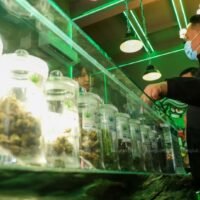 Ein mit der Kontrolle illegaler Drogen beauftragter Ausschuss hat mit Stimmenmehrheit die Neuklassifizierung von Cannabis und Hanf als Betäubungsmittel erreicht. Diese Einstufung wird am 1. Januar nächsten Jahres in Kraft treten, so Dr. Surachoke Tangwiwat, stellvertretender Staatssekretär im Gesundheitsministerium.