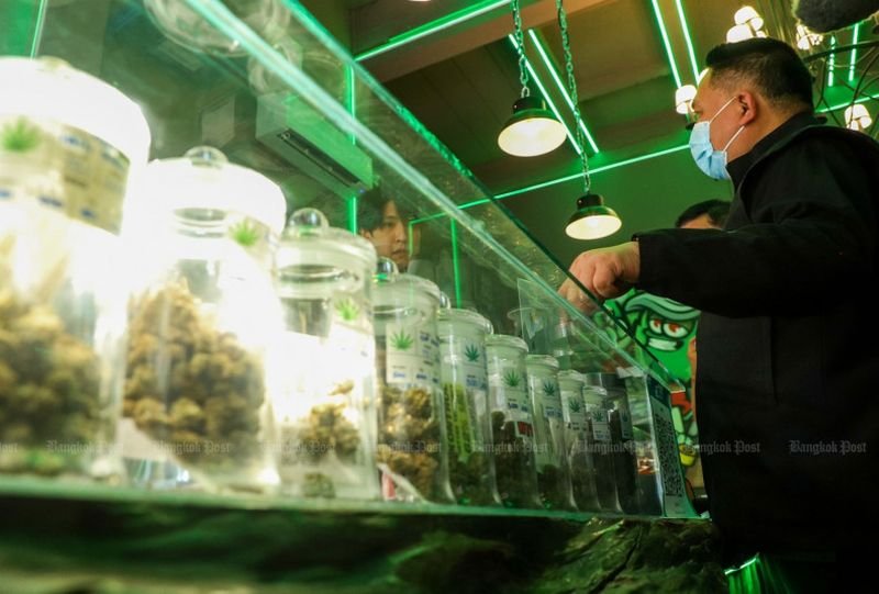 Ein mit der Kontrolle illegaler Drogen beauftragter Ausschuss hat mit Stimmenmehrheit die Neuklassifizierung von Cannabis und Hanf als Betäubungsmittel erreicht. Diese Einstufung wird am 1. Januar nächsten Jahres in Kraft treten, so Dr. Surachoke Tangwiwat, stellvertretender Staatssekretär im Gesundheitsministerium.