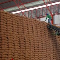 Eine Quelle im Handelsministerium sagte, die Regierung habe die Versteigerung von 15.000 Tonnen Reis, die aus dem Reisspendeprogramm der Regierung von Yingluck Shinawatra übriggeblieben waren, abgeschlossen und den Reis für rund 244 Millionen Baht an die beiden Höchstbietenden verkauft.