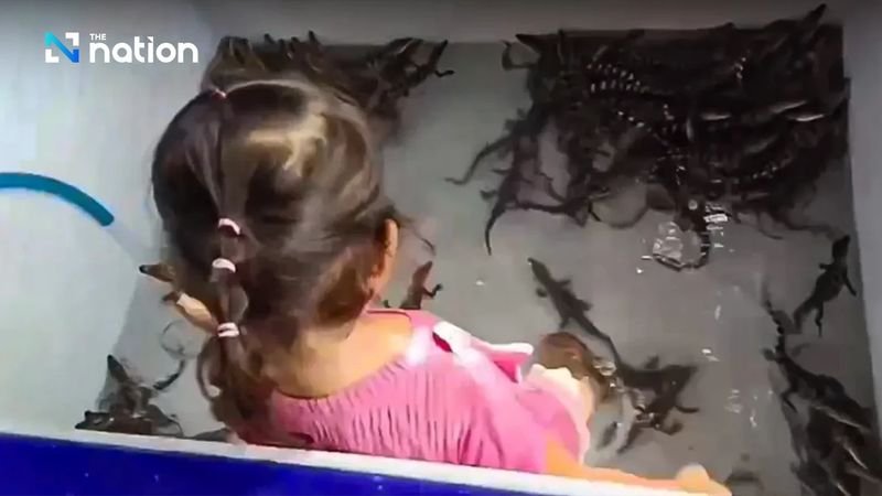 Thailändische Internetnutzer waren erstaunt über einen Videoclip, in dem ein junges Mädchen in einer Wanne mit mehreren Reptilienbabys spielt, die wie Krokodile aussehen. In dem Video, das Anfang dieser Woche viral ging, zeigte das Mädchen keine Angst vor den Reptilien, als sie ihnen nachjagte und sie beim Schwimmen in der Wanne aufhob.