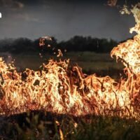 Das Landwirtschaftsministerium richtet eine Task Force zur Bearbeitung der im April verabschiedeten Kabinettsresolution ein. Landwirte, die ihre Erntereste verbrennen, um sie für den nächsten Anbau vorzubereiten, erhalten möglicherweise keine staatlichen Subventionen mehr, um die PM2,5 Belastung zu reduzieren