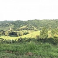 Das Ministerium für Landwirtschaft und Genossenschaften hat Inspektionen eingeleitet, die zum Abriss von mehr als 400 Resorts wegen Eingriffen in öffentliches Land im Bezirk Wang Nam Khieo in Nakhon Ratchasima führen könnten.