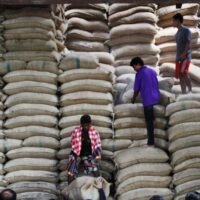 Die thailändischen Reisexporte werden im nächsten Jahr wahrscheinlich weniger als 8 Millionen Tonnen betragen, da unzählige Risikofaktoren die Wettbewerbsfähigkeit des Landes beeinträchtigen. Dazu gehören ein Mangel an Forschung und Entwicklung (F&E) für Reissorten, ein steigendes weltweites Angebot und die Möglichkeit, dass Indien seine Exportbeschränkungen für Reises zum Jahresende aufhebt.