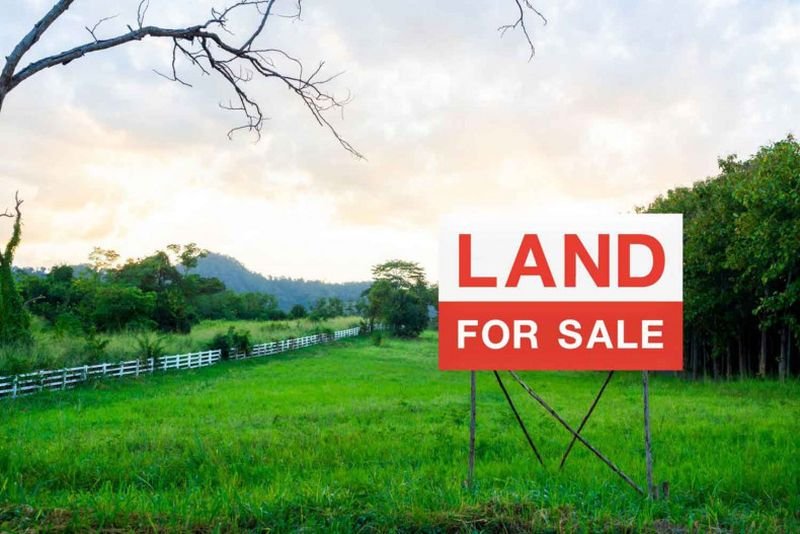 Eine Gesetzliche Neuordnung für ausländische Landpachtverträge ist dringend erforderlich. Damit der Plan vorankommen könne, müssten laut Lavaron mehrere Gesetze überarbeitet werden, darunter auch die Vorschriften des US-Finanzministeriums, die solche Pachtverträge auf 30 Jahre begrenzen.