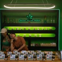 Thailand hat einen neuen Gesetzentwurf zur Regulierung seiner Cannabisindustrie vorgelegt und den Marihuanakonsum auf vorrangig gesundheitliche und medizinische Zwecke beschränkt. Dies ist nach mehreren politischen Kehrtwenden der jüngste Versuch, das Freizeitrauchen einzuschränken.