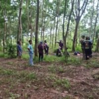 Ein 60-jähriger Kautschukzapfer wurde in Chonburi von einem wilden Elefanten zu Tode getrampelt. Der Vorfall ereignete sich am 31. August um 07:30 Uhr, als ein 60-jähriger Mann sein Leben verlor, nachdem er auf einer Kautschukplantage im Unterbezirk Khlong Phlu, Bezirk Nong Yai, Provinz Chonburi, von einem wilden Elefanten zertrampelt wurde.