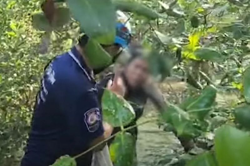 Eine Indonesierin suchte Hilfe bei thailändischen Behörden, nachdem ihr deutscher Freund sie in einem Mangrovenwald in der Provinz Samut Sakhon in der Nähe von Bangkok zurückgelassen hatte, nachdem er am Telefon einen Streit mit seiner Frau gehabt hatte.