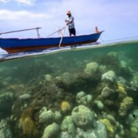 Dieses Jahr wird das weltweit wärmste seit Beginn der Wetteraufzeichnungen, und die außergewöhnlich hohen Temperaturen werden voraussichtlich mindestens bis in die ersten Monate des Jahres 2025 anhalten, sagten Wissenschaftler der Europäischen Union am Montag.
