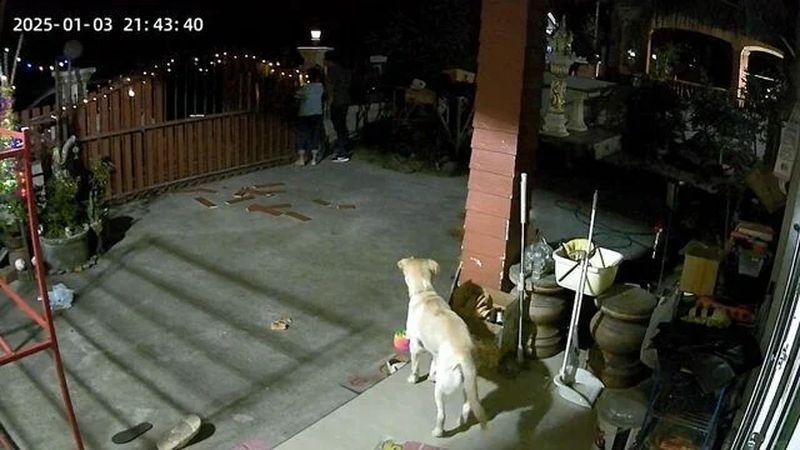 Eine betrunkene Auseinandersetzung auf einer Silvesterparty nahm eine schockierende Wendung, als ein betrunkener Polizist den Sohn eines lokalen Verwaltungsbeamten in Uthai Thani angriff . Der Vorfall, der schnell eskalierte, erschütterte mehrere Personen, darunter die Frau und die Tochter des Mannes.