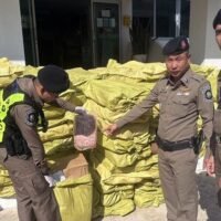 . Gestern, am 22. Januar, hat die thailändische Autobahnpolizei eine Großaktion abgewehrt, bei der es um den illegalen Import von mehr als 15 Tonnen Schweinefleisch aus China ging . Das für Restaurants in Bangkok bestimmte Fleisch wurde über den Mekong geschmuggelt .