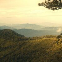 Das thailändische Wetteramt (TMD) hat für morgen kaltes Wetter , dichten Nebel und in einigen Gebieten vermehrten Niederschlag vorhergesagt . Ein Hochdruckgebiet bzw. eine schwache Kaltluftmasse bedeckt den Norden Thailands und das Südchinesische Meer, was in einigen Gebieten zu nebligen Morgen und dichtem Nebel führt.