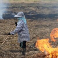 Das thailändische Ministerium für Landwirtschaft und Genossenschaften kündigte am 17. Januar strenge neue Maßnahmen zur Bekämpfung der wachsenden PM2,5 Luftverschmutzungskrise an . Ein besonderer Schwerpunkt liegt dabei auf der Bestrafung von Landwirten, die ihre Ernten verbrennen.